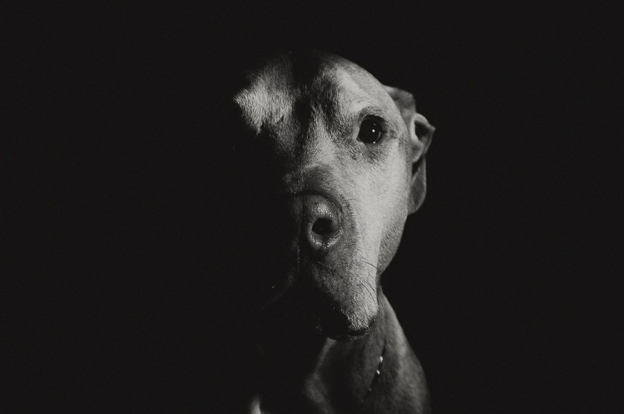 13613984845_312e4e0564_b