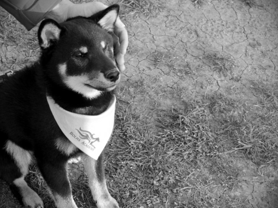 Selective_Splash_3-12-2017_100210_PM