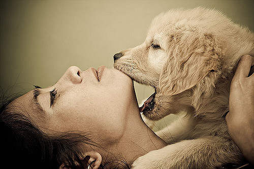 2586750279_041ffb3766_z