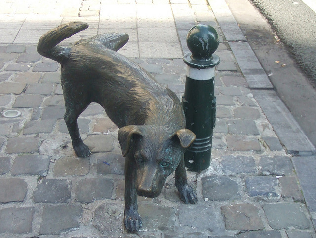 3995866960_829d41466f_z