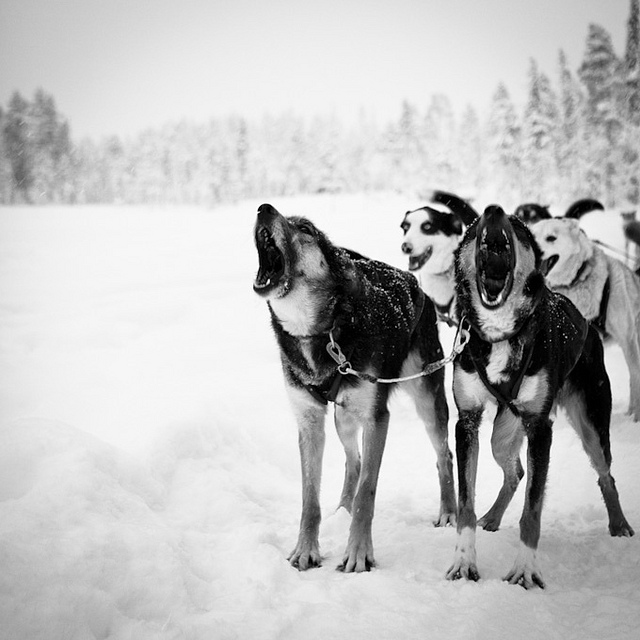 5959602702_b4b981a0ae_z