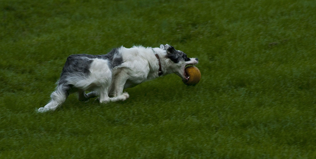 6023624172_ace745c389_z