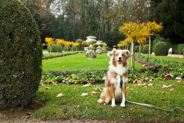 33693063313_2f54aaef46_z