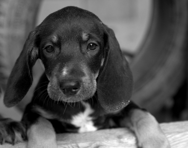 6297804425_4c7bde801b_z