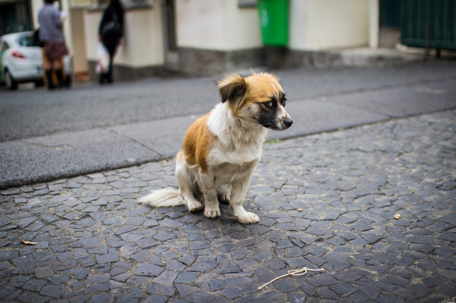 8535147522_16ab793859_k